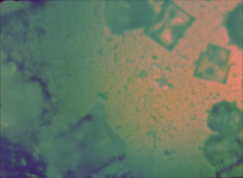 vlcsnap 2025 03 28 20h07m37s793.png