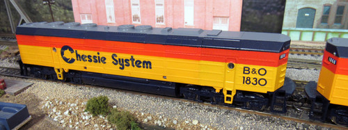 IMG 5115.jpg