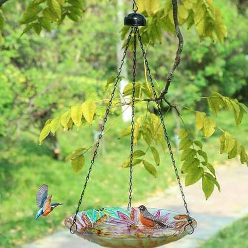 未标题 1 0110 Z0CTZMX51W 4.jpg