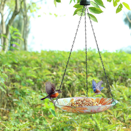 未标题 1 0109 Z0CTZMX51W 5.jpg