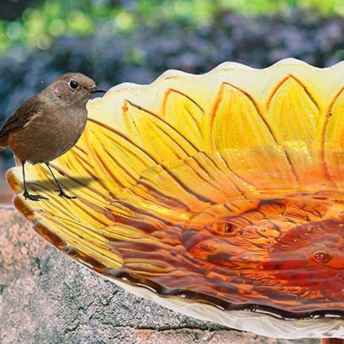 未标题 1 0042 Z07ZH3QRSC 2.jpg