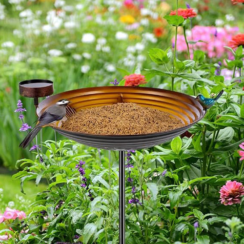 未标题 1 0087 Z0D1QQKJ3W 2.jpg