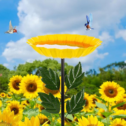 未标题 1 0089 Z0D1BXQK4D 5.jpg