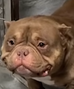 Screenshot 2024 12 06 123328.png