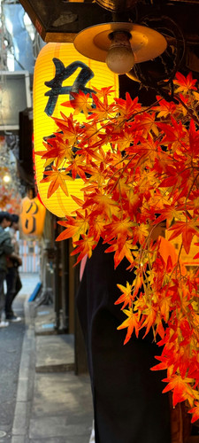 Japan 11.jpg