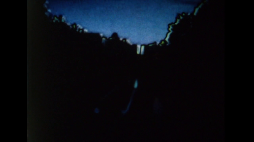 vlcsnap 2025 03 27 13h35m02s650.png