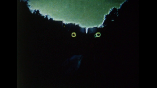 vlcsnap 2025 03 27 13h33m54s573.png
