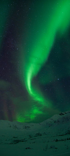 Aurora 23.jpg