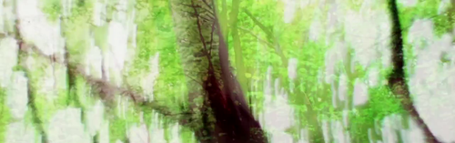 vlcsnap 2025 03 27 14h06m06s480.png