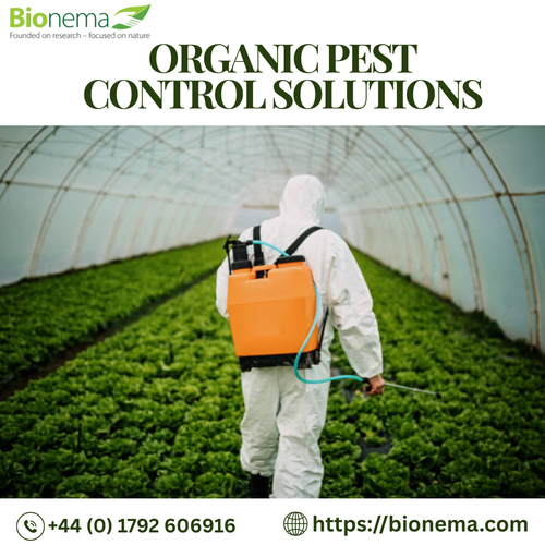 Organic pest control solutions.png