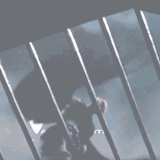 frame 30 delay 0.03s.gif