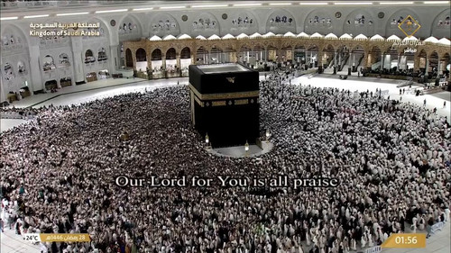 tUdTJM6yOPQ6lx q.jpg