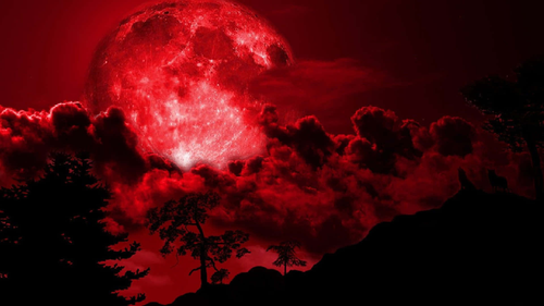 R Background.png