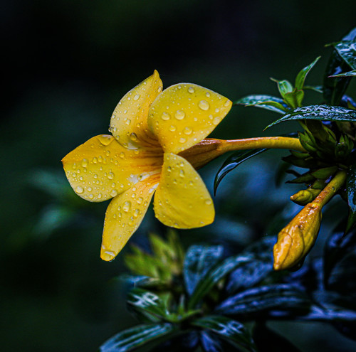 pexels mohit khare 3592184 27962488.jpg