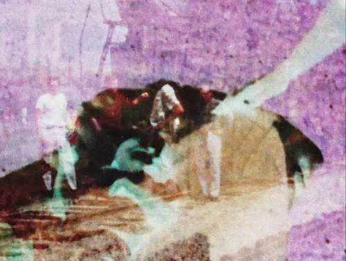 vlcsnap 2025 03 27 16h48m05s663.png