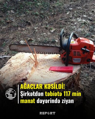 487296674 962261686115220 6892528075291112667 n.jpg?stp=dst jpg s640x640 tt6& nc cat=109&ccb=1 7& nc.jpg