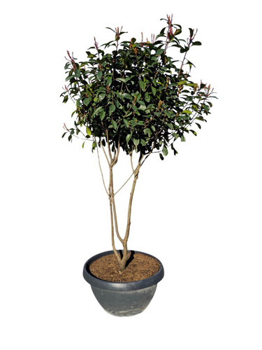 photo 5996633261822035286 y.jpg