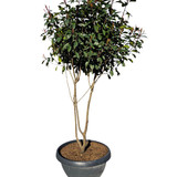 photo 5996633261822035286 y