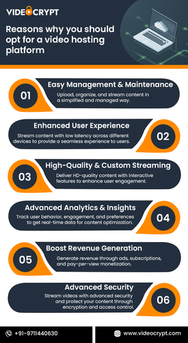 Reasons why you should opt for a video hosting platform (1).png