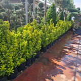 photo 5996633261822035288 y