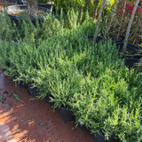 photo 5996633261822035296 y