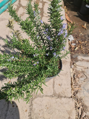 photo 5996633261822035291 y.jpg