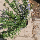 photo 5996633261822035291 y