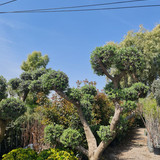 photo 5996633261822035290 y