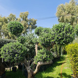 photo 5996633261822035292 y