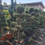 photo 5996633261822035293 y