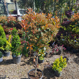 photo 5996633261822035309 y