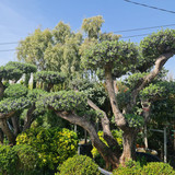 photo 5996633261822035299 y