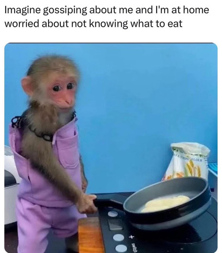 486414125 3554695804836499 1274285746102389522 n.jpg