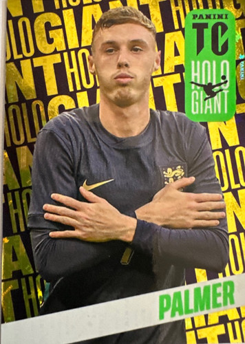 25.jpg