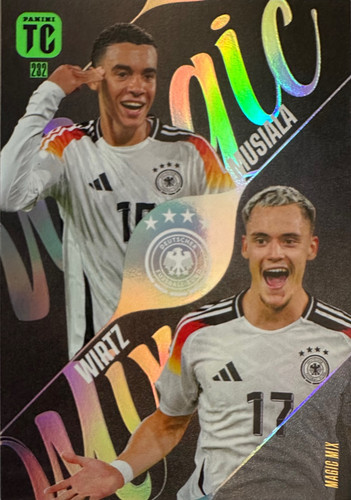 232.jpg