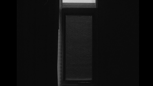 vlcsnap 2025 03 27 14h46m52s166.png