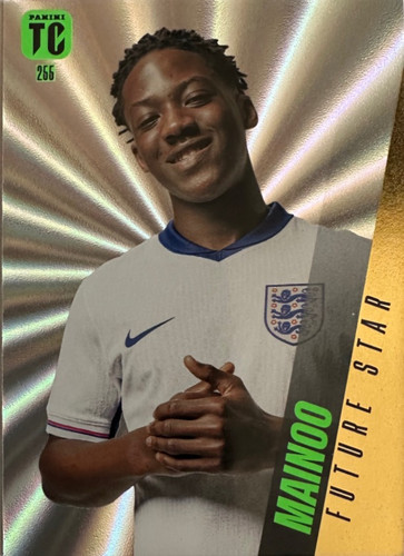 255.jpg