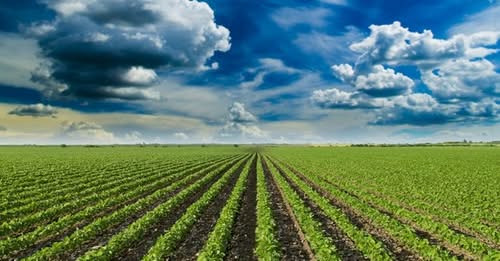 7518360102098827245?url=https%3A%2F%2Fwww.shantnews.am%2Fwp content%2Fuploads%2F2025%2F03%2F45816540.jpg