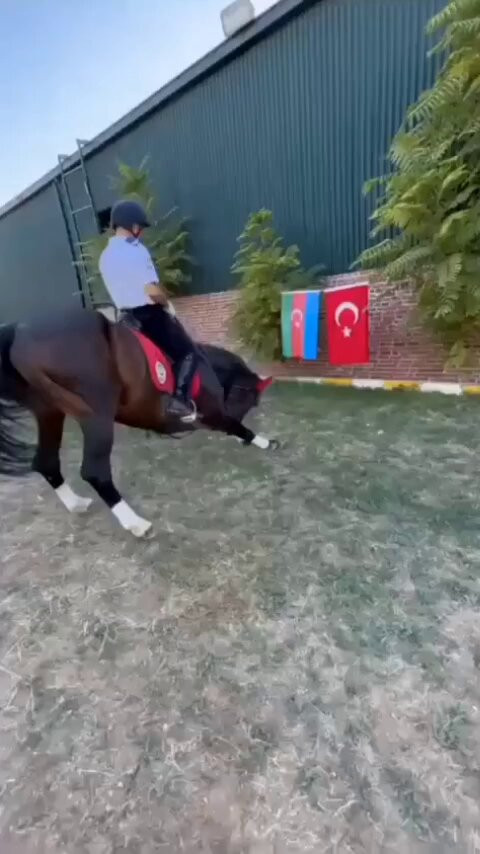 0QhAn2baA0AtaDsY.jpg