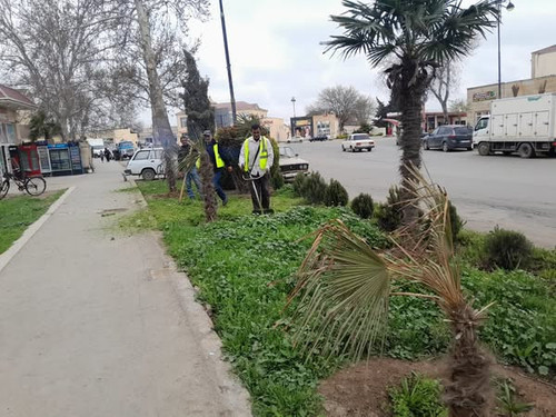 487197866 1067998528690853 2596064773510057156 n.jpg?stp=dst jpg s600x600 tt6& nc cat=111&ccb=1 7& n.jpg