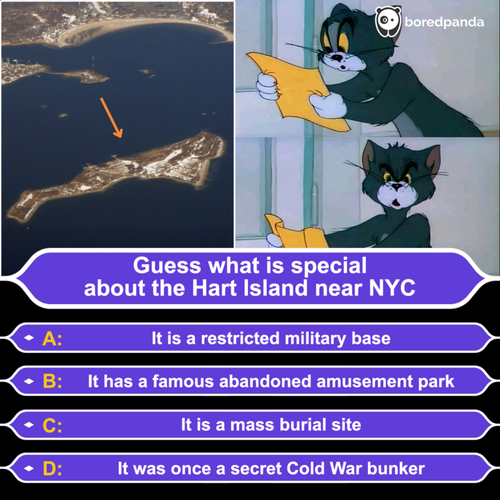 image (16).png