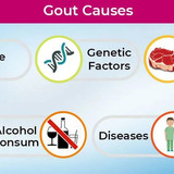 gout2544