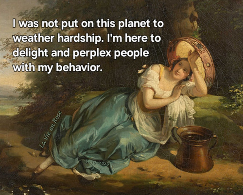 489879753 626417970389191 4197197813642184499 n