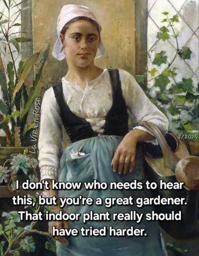 492086021 634412356256419 411370891753260686 n