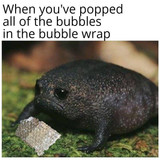 494765347 988856130082774 3399636411587269741 n