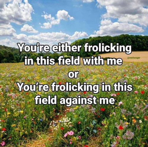 495338630 988855973416123 9141028944609434398 n.jpg