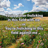 495338630 988855973416123 9141028944609434398 n