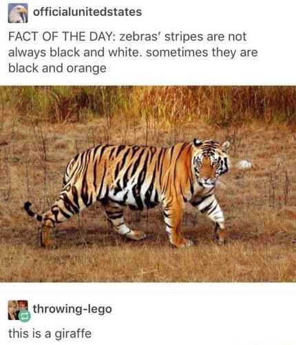 491650104 988856026749451 2935750415163181387 n