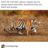 491650104 988856026749451 2935750415163181387 n