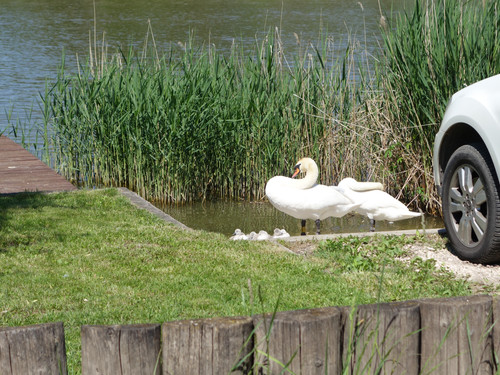 PICT 20250510 113914